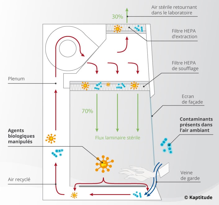 Schéma de fonctionnement d'un PSM de type II