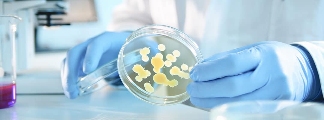 bannière agents biologiques