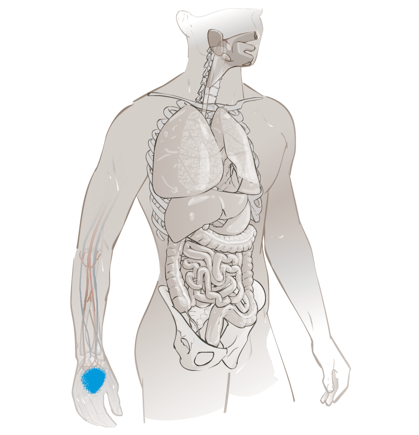Agents Biologiques Voie Cutanée