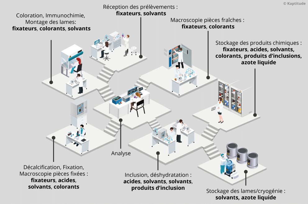 Agents chimiques dangereux manipulés en laboratoire d'anatomie et cytologie pathologiques