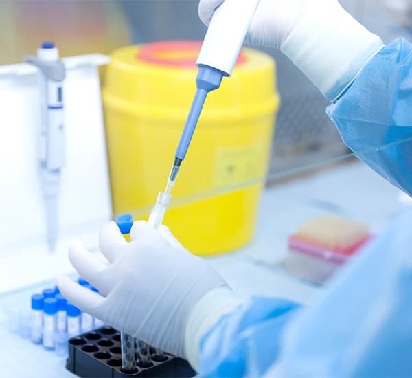 Travailler avec des OGM